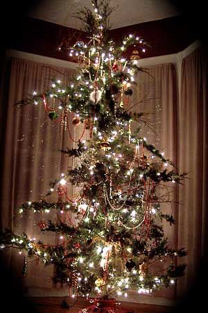 a decorated christmas tree in front of a window