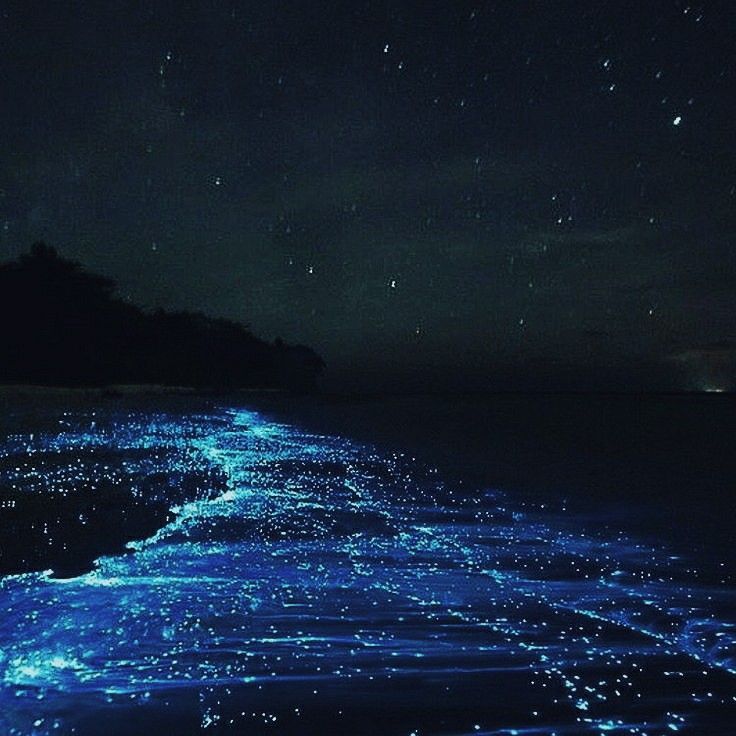 the ocean is lit up with blue lights in the night sky and stars on the water