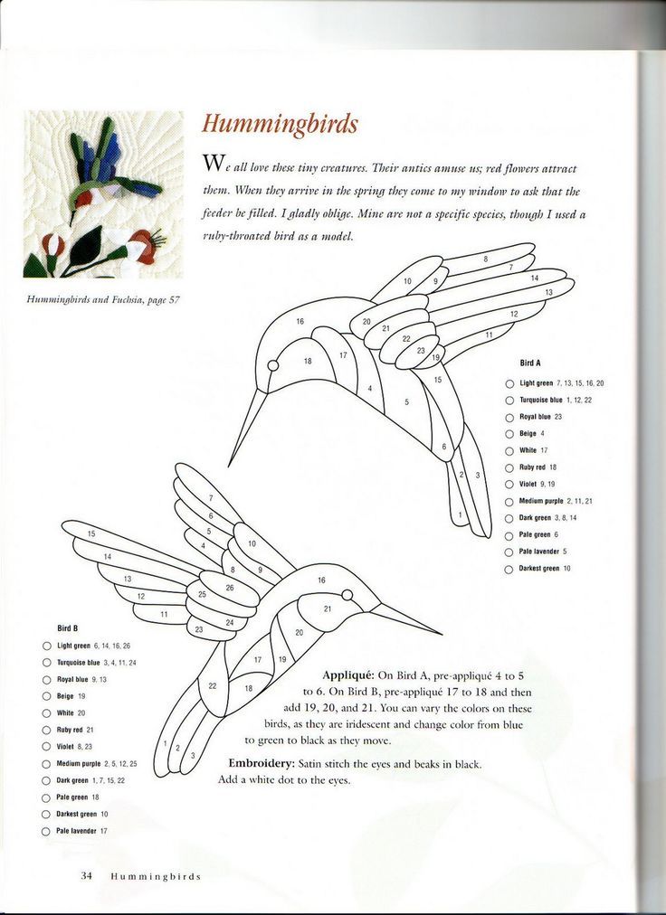 a page with instructions on how to draw hummingbirds