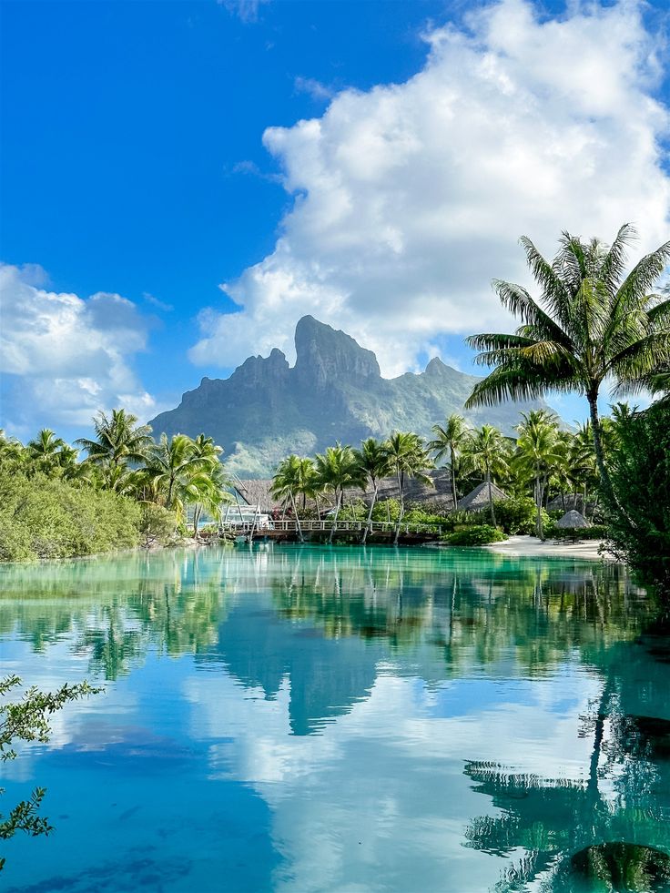 the blue water is surrounded by palm trees