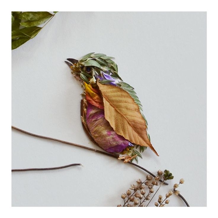 dried leaves and twigs on a white surface