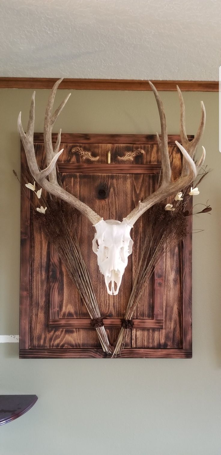 a deer skull mounted on the wall with antlers in it's centerpiece