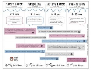 an info sheet with instructions on how to use the information for each individual's activities