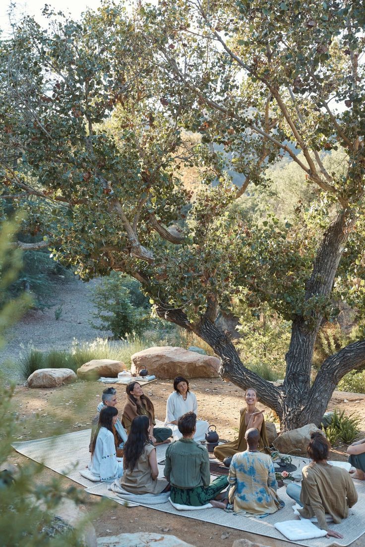 a group of people sitting on top of a blanket in the shade under a tree