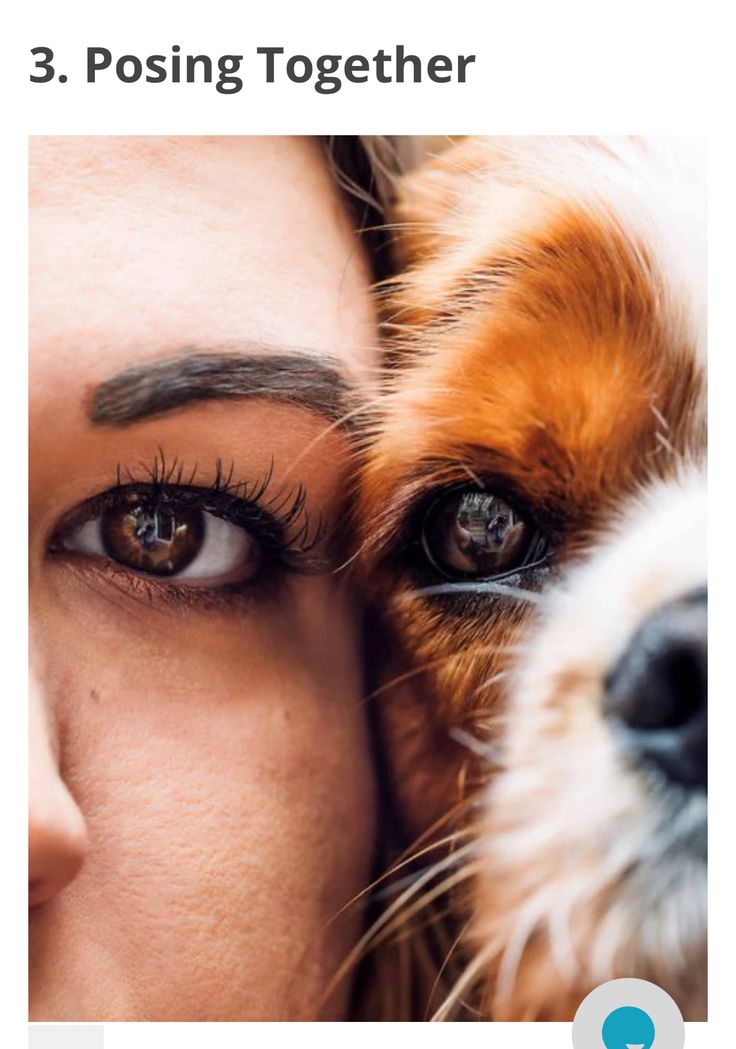 a woman is hugging her dog with the caption'3 posing together '