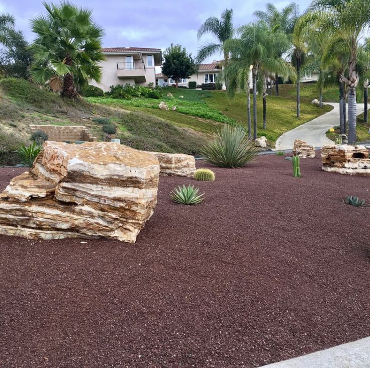 a rock garden in front of a house with palm trees on the hill behind it