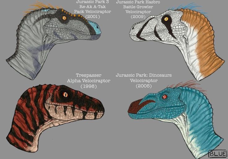 four different types of dinosaurs are shown in this drawing style, and each has an individual's head