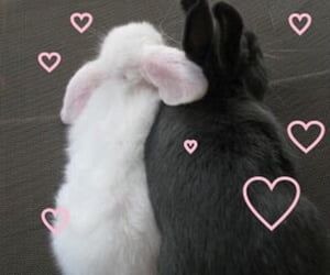 two rabbits are facing each other with hearts drawn on the wall in the back ground