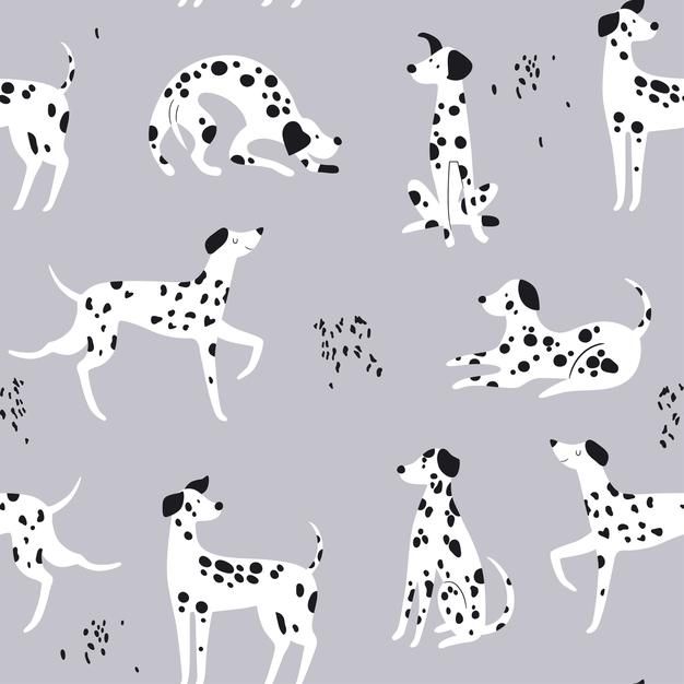 dalmatian dogs in black and white on a gray background