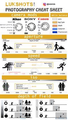 the info sheet shows different types of photography