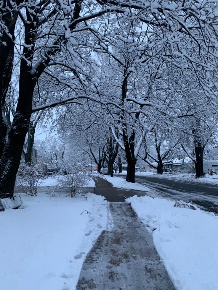 the sidewalk is covered in snow next to trees