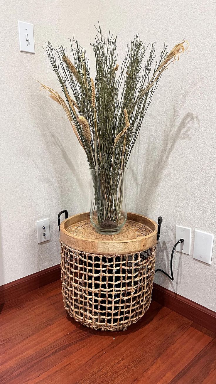 a plant in a basket on the floor next to an outlet plugged into a wall