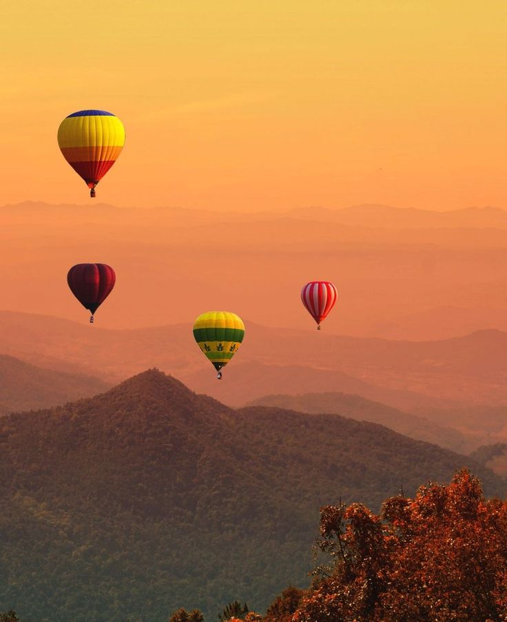 several hot air balloons flying in the sky over some trees and mountains at sunset or dawn