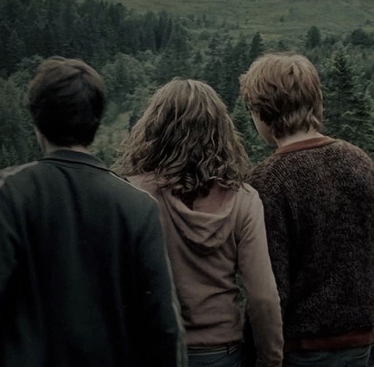 three people standing in front of trees looking out at the mountains and forest behind them