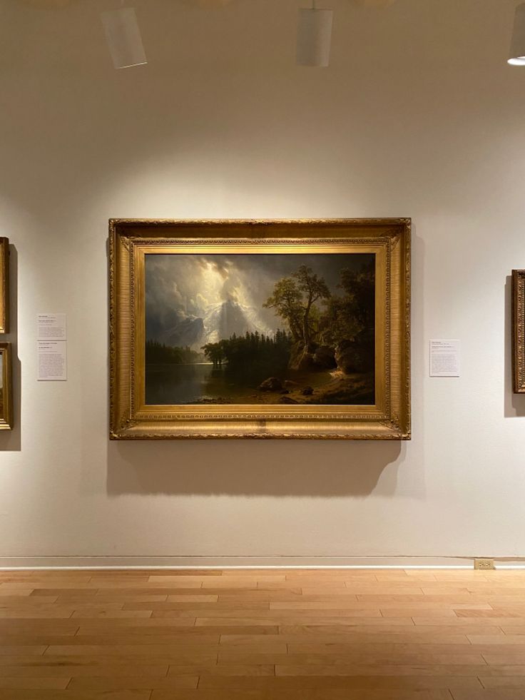 #sanantonio #texas #museum #aesthetic Albert Bierstadt Paintings, Museum Photography, Albert Bierstadt, Paint Canvas, Texture Paint, Textured Painting, Beginner Painting, Acrylic Canvas, Art Archive