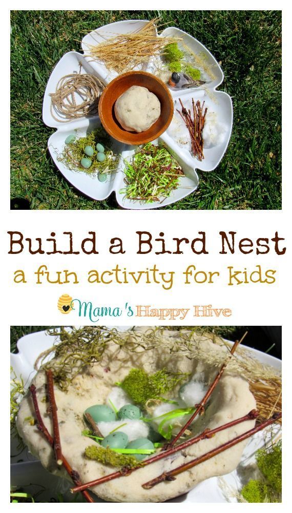 a bird nest with moss and eggs in it on top of a plate filled with rocks