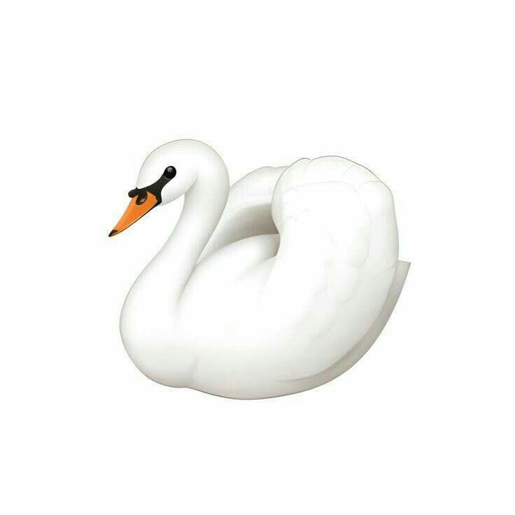 a white swan with an orange beak is floating in the water on a white background