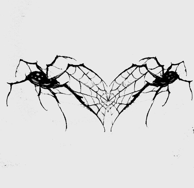 two spider webs with eyes drawn on them in the shape of a heart, against a white background