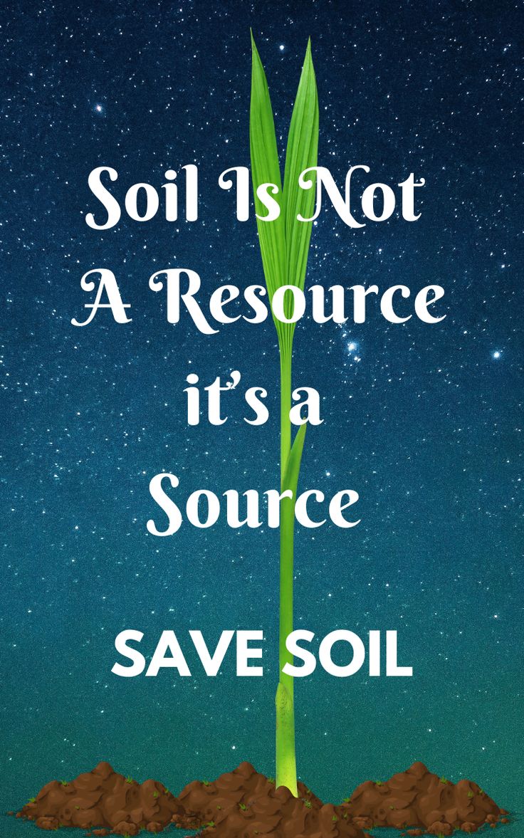 a green plant with the words soil is not a resource it's a source save soil