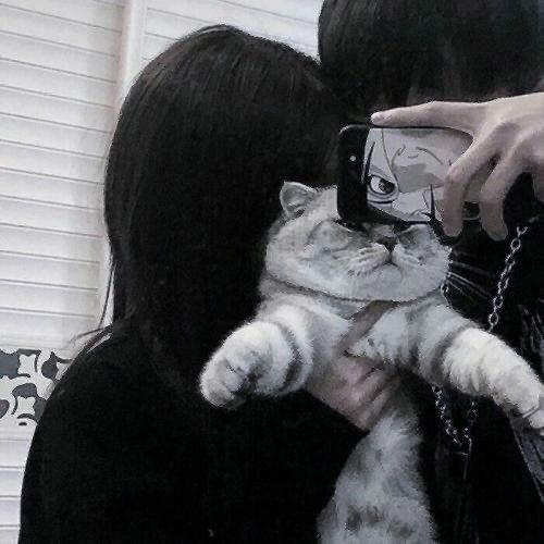 a woman taking a selfie with her phone while holding a cat in her arms