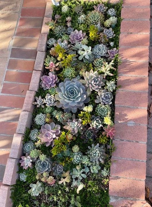 there are many different plants growing on the side of this brick wall in front of a sidewalk