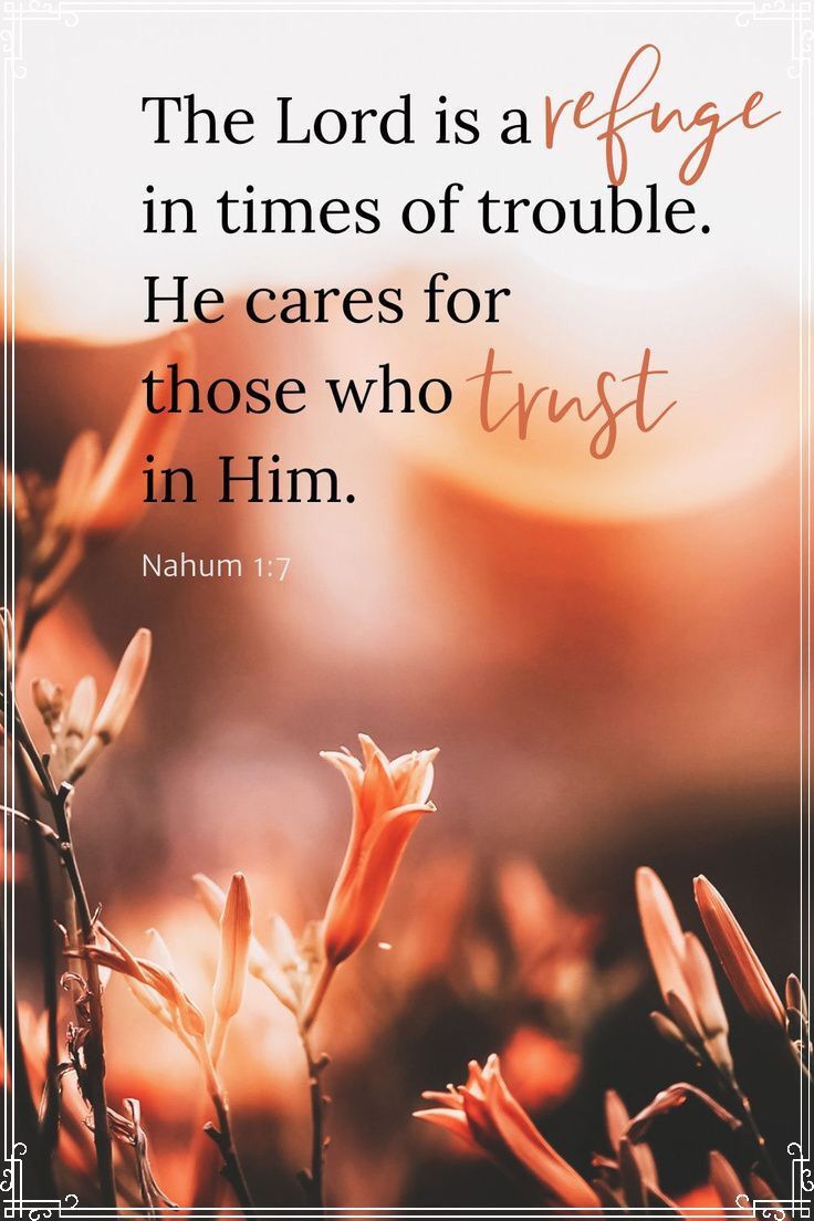 the lord is a refuge in times of trouble he cares for those who trust in him