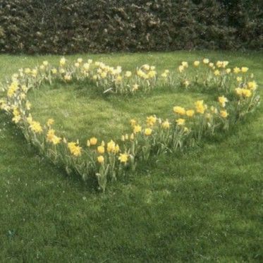 a heart shaped lawn with yellow flowers in the middle