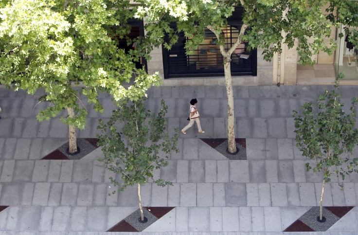 a person walking down a sidewalk next to trees