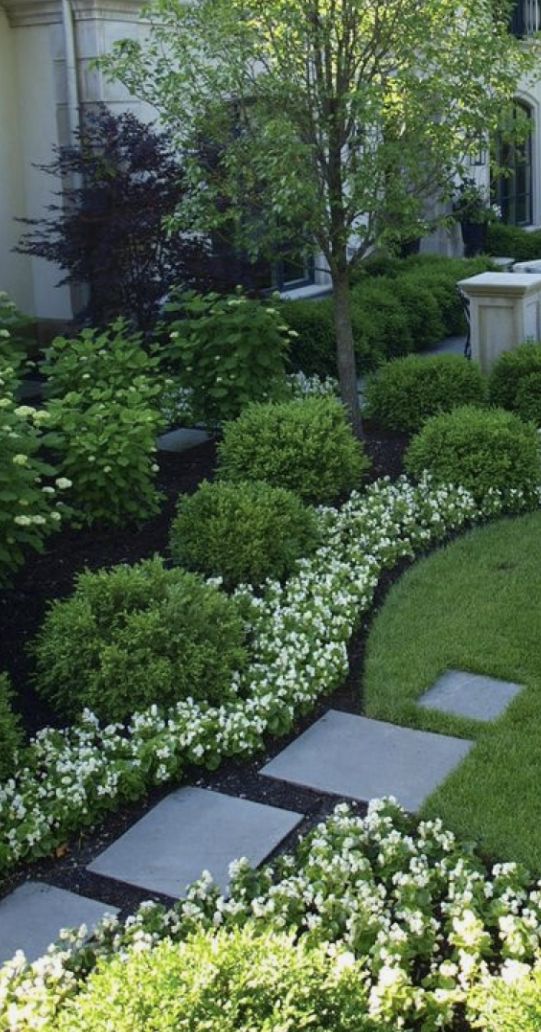 a garden with white flowers and bushes in front of a large house on a sunny day