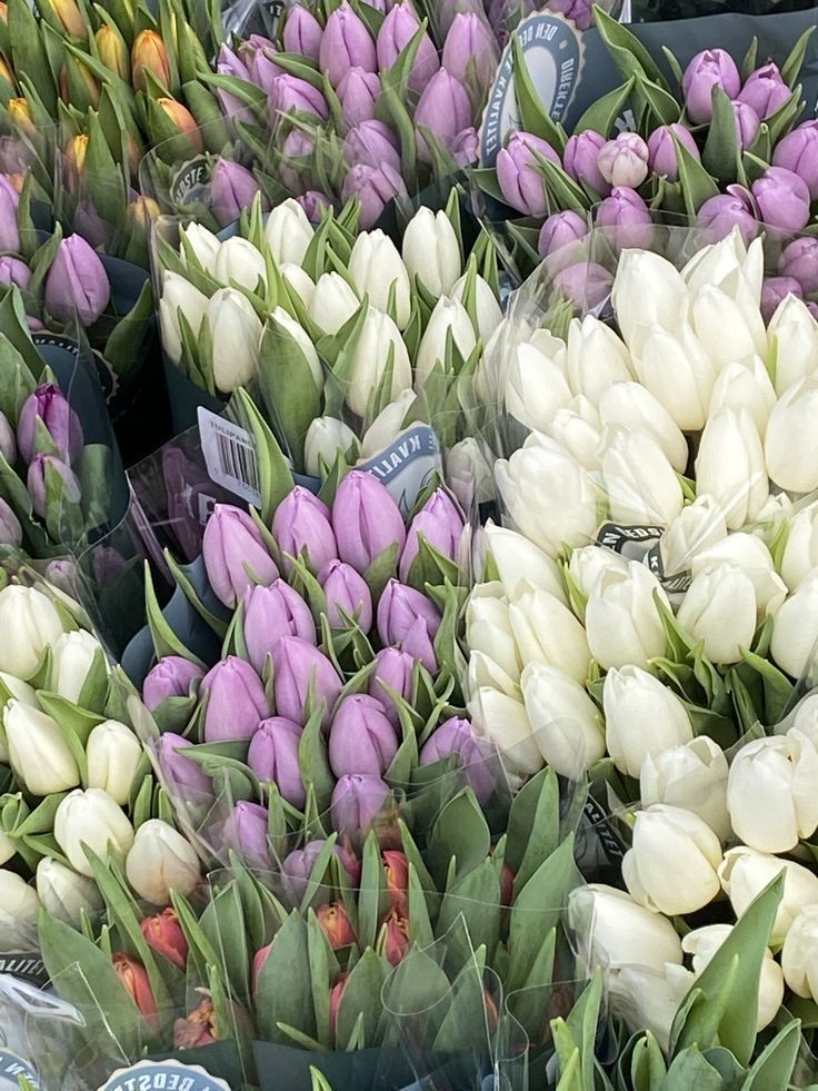 tulips and other flowers for sale at a flower market