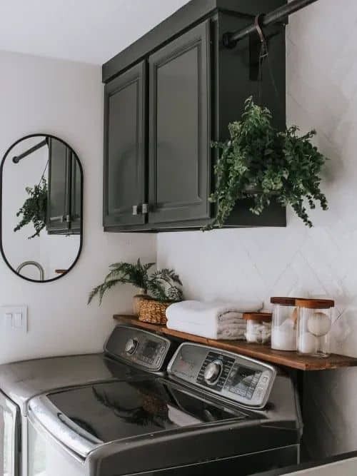 a washer and dryer in a room with green plants on the shelf next to it