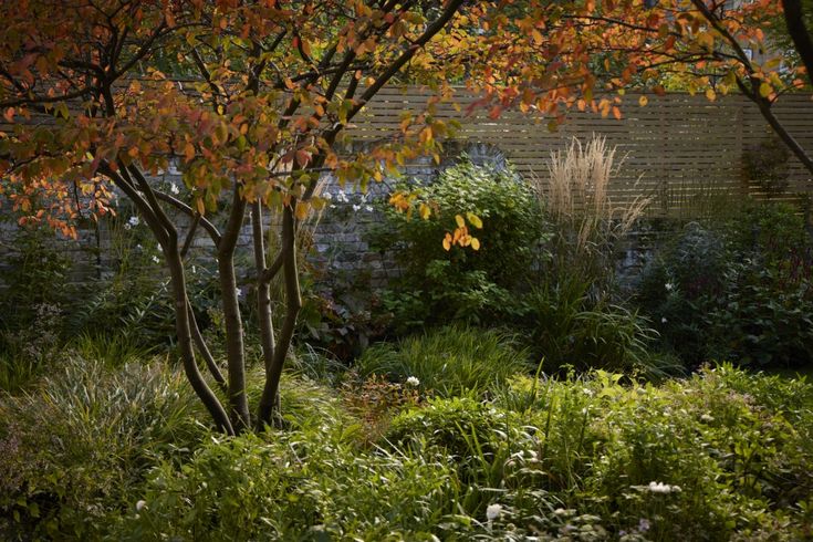 an image of a garden setting with trees and plants in the foreground, along with brick wall