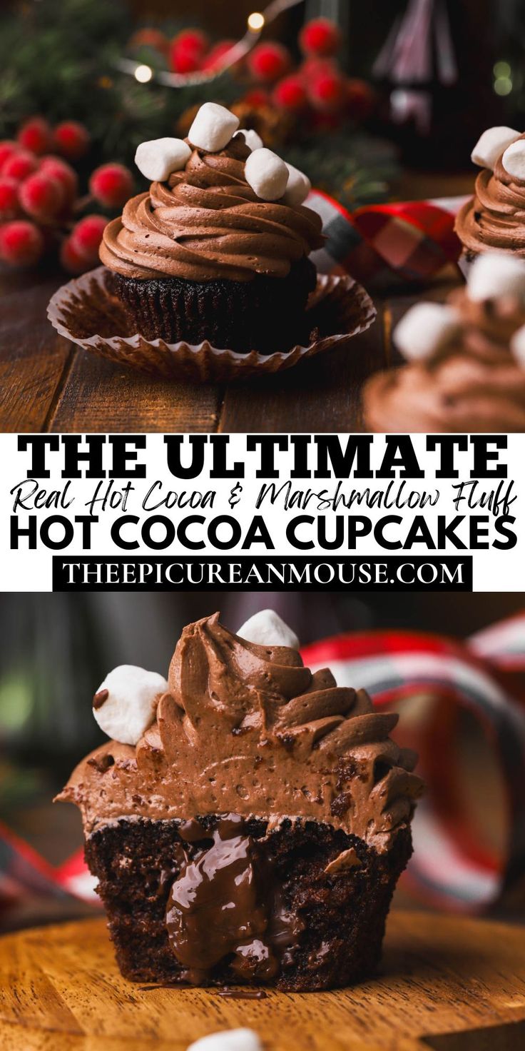 chocolate cupcakes with marshmallows on top and the words, the ultimate hot cocoa cupcakes