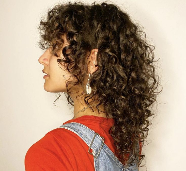 Curly Shag Back View, Curly Layered Mullet, 90s Hairstyles Curly Hair Short, Shag Mullet Curly Hair Long, Haircuts For Short Curly Hair For Women, Women’s Curly Mullet, Haircut Fine Curly Hair, Short Shaggy Haircuts Curly Hair, Grown Out Curly Mullet