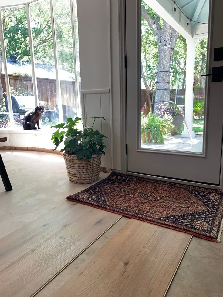 a door with a rug on the floor and a potted plant next to it