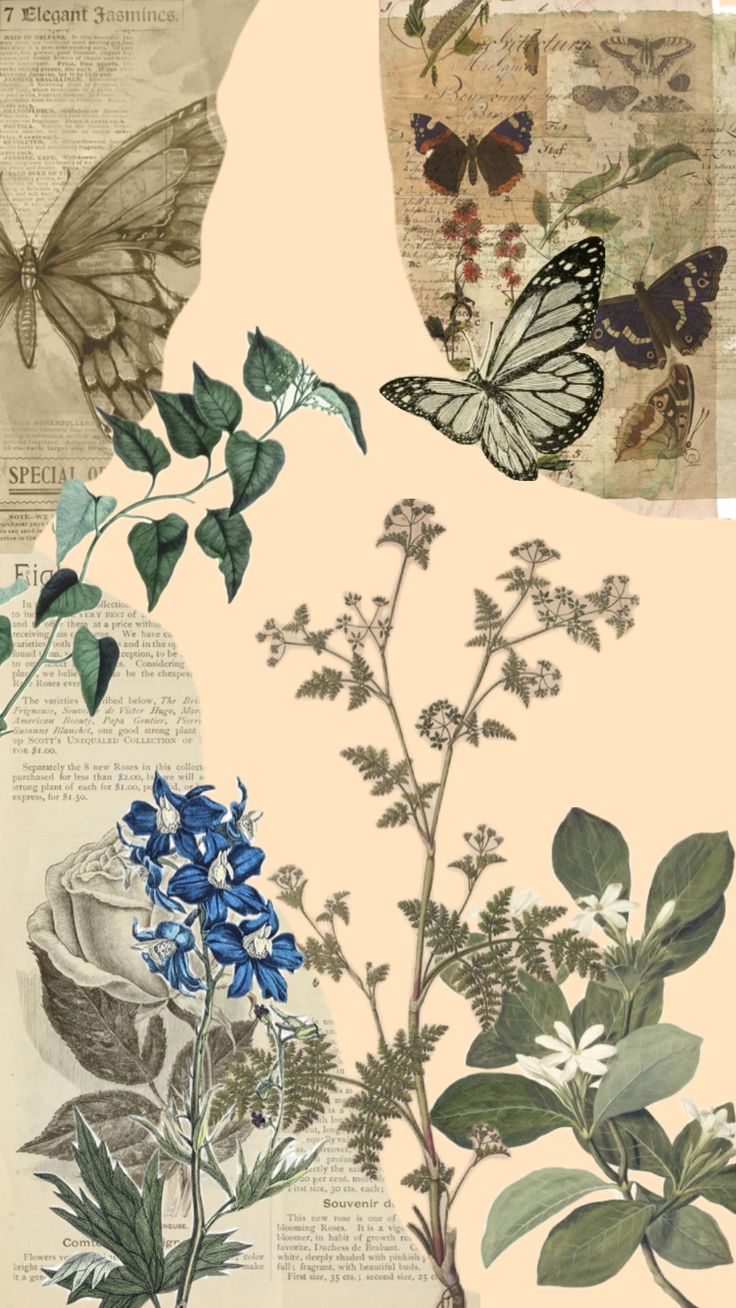 an image of butterflies and flowers in the air