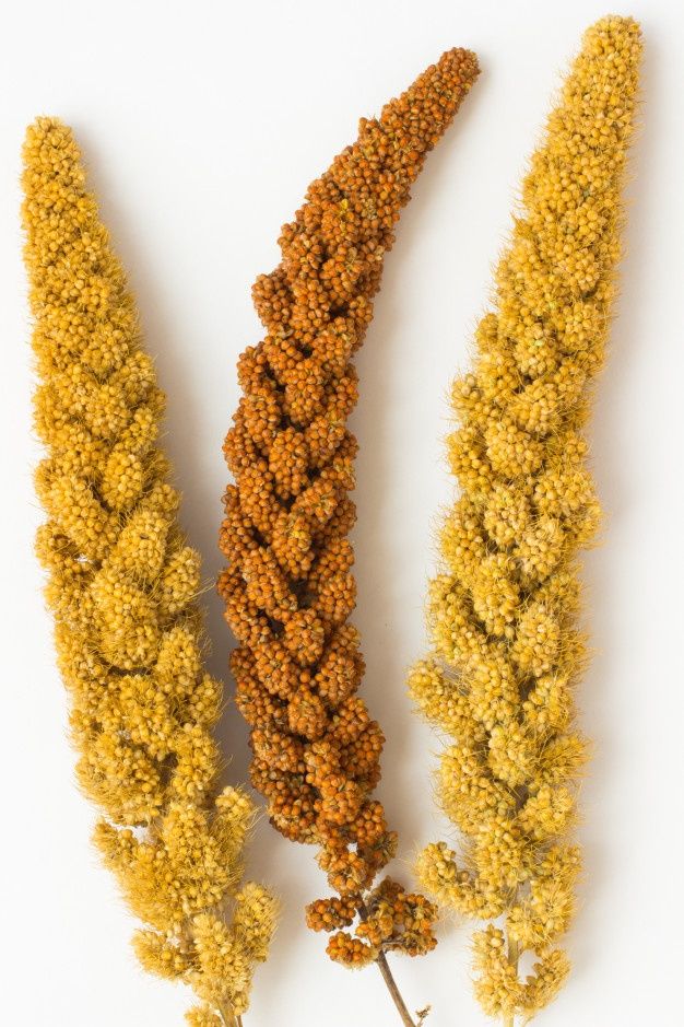 three different types of yellow flowers on a white background