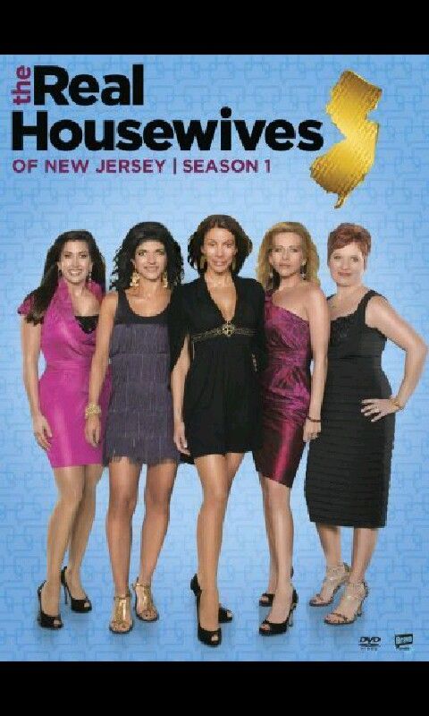 the real housewives season 1 poster