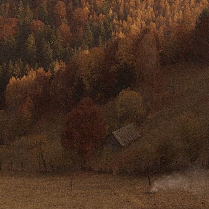 an old barn in the middle of a field surrounded by trees with fall colors on it