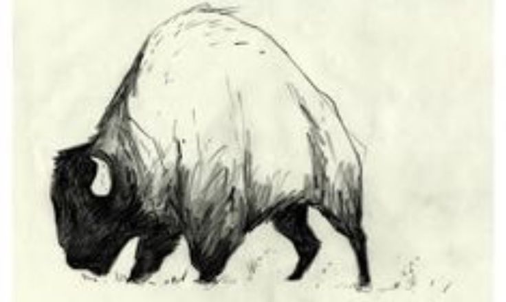 a black and white drawing of a bison walking in the grass with its head down