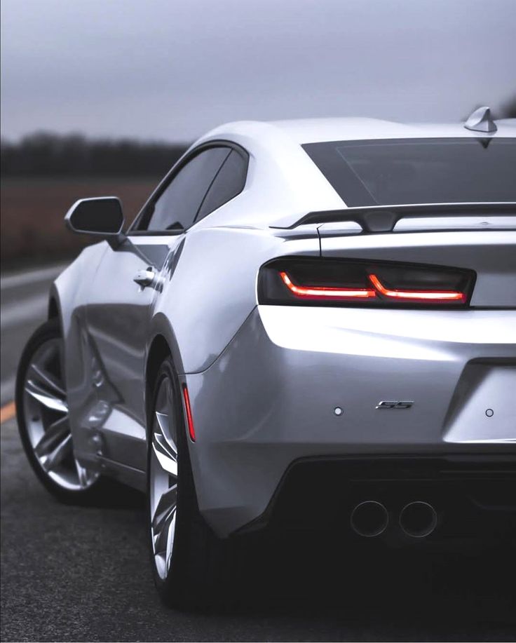 the rear end of a silver sports car