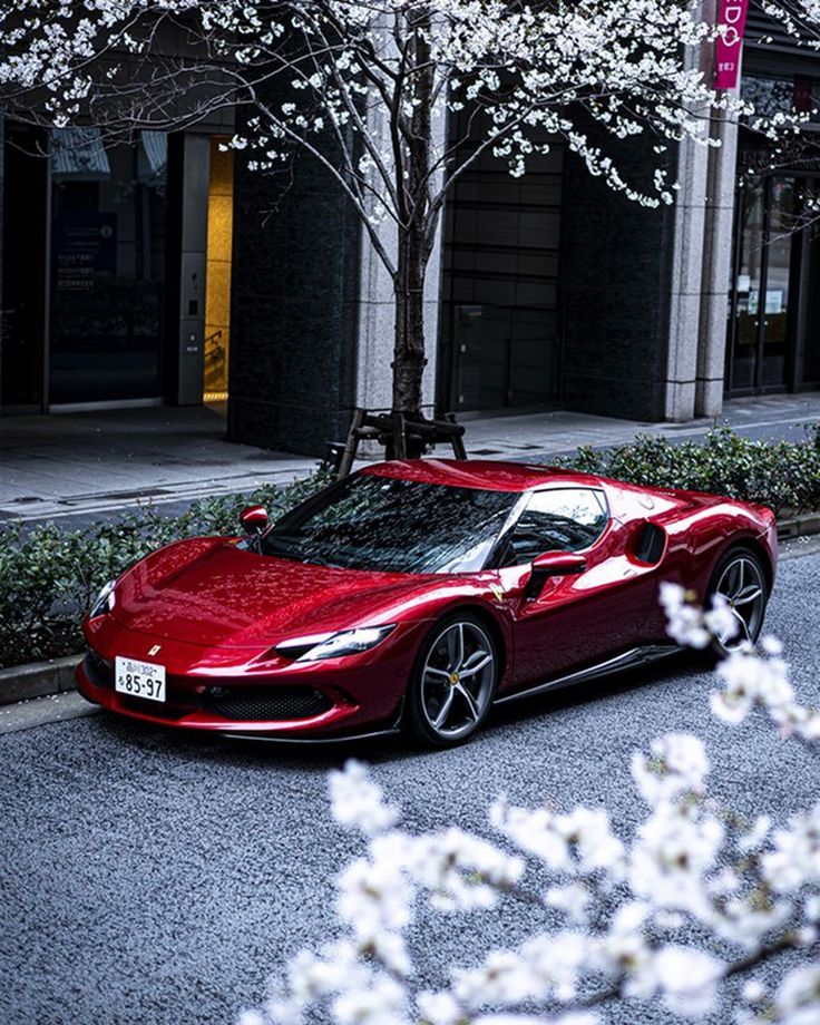 a red sports car parked in front of a tree with white flowers on it's branches