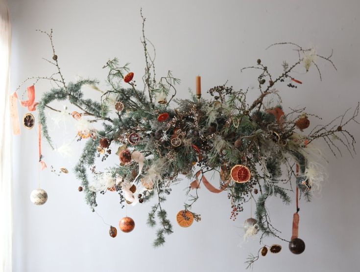 an arrangement of plants and fruit hanging from the ceiling in front of a white wall