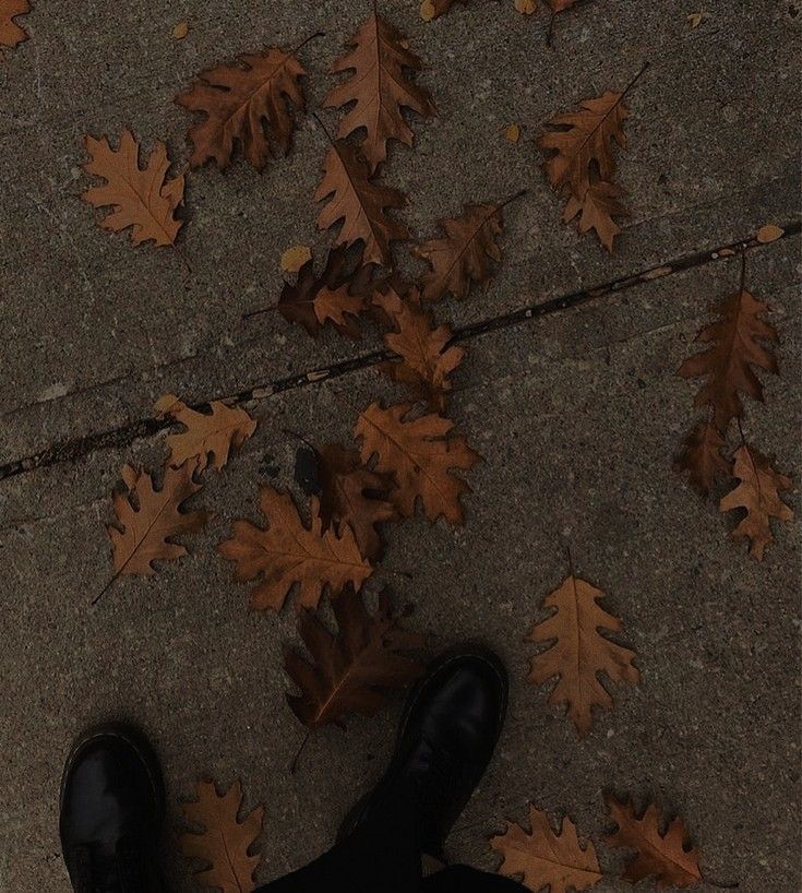 a person is standing on the sidewalk with their feet propped up in front of leaves