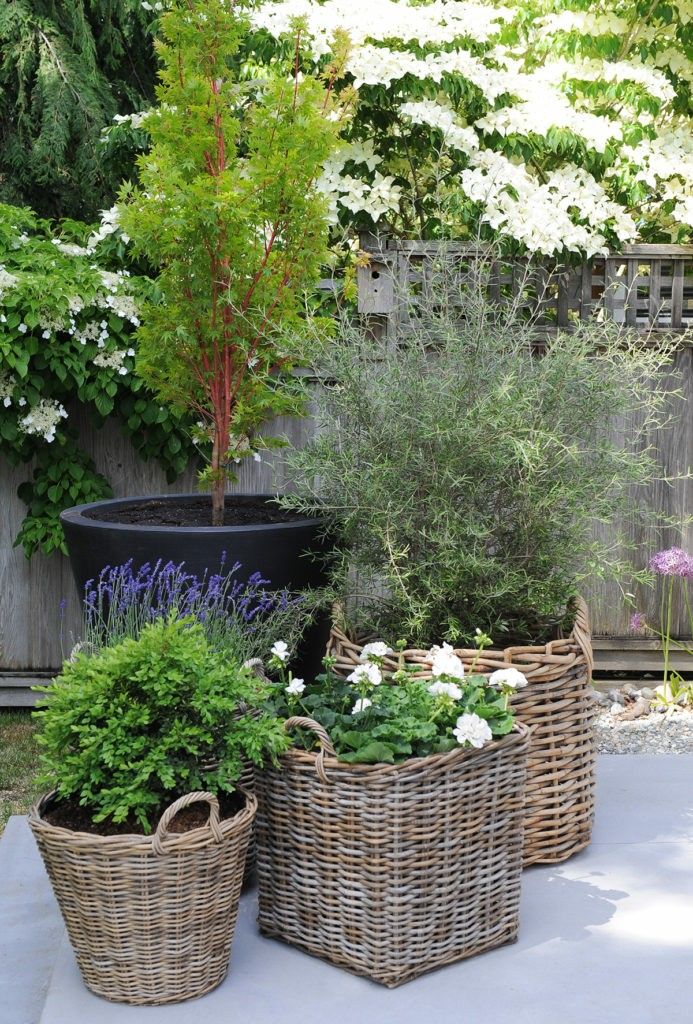 three wicker baskets filled with plants on a patio