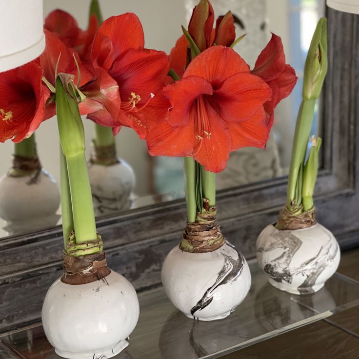 three white vases with red flowers in them on a glass table next to a mirror