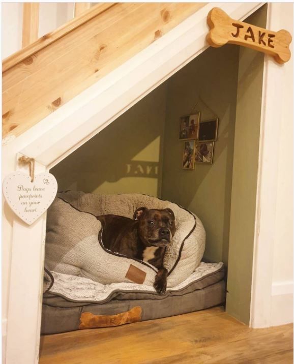 a dog is laying in his bed under the stairs at the top of the stairs