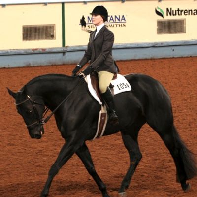 a woman riding on the back of a black horse in an indoor arena at a competition