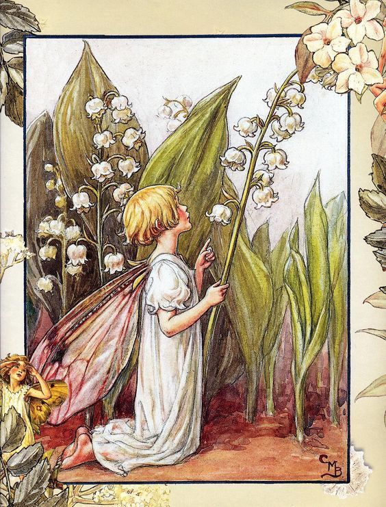 This Ivy House — thefavoriteartilike: The Snowdrop Fairy by Cicely... Irish Mythical Creatures, Mermaid Stories, 동화 삽화, Ivy House, Fancy Art, Cicely Mary Barker, Fairy Artwork, Vintage Fairies, Flower Fairies