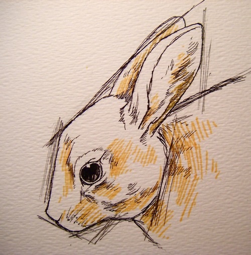 a drawing of a rabbit's head with yellow and black ink on white paper